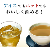 Itoen Oi Ocha Hojicha Thé vert torréfié sachet 20 sachets