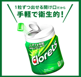 Clorets XP Gum Original Mint flavor Bottle type 140g Mondelez Japan