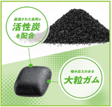 Clorets Gum Charcoal Fresh Mint flavor Bottle type 112g Mondelez Japan