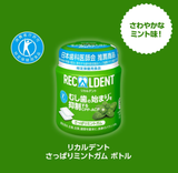 Recaldent Fresh Mint Gum Bottle type 140g Mondelez Japan