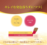 Rohto Lip The Color Camel Brown unparfümierter 2,0 g Lippenstift-Balsam