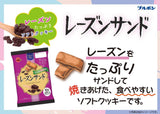 Bourbon Raisin sand soft cookie 93g