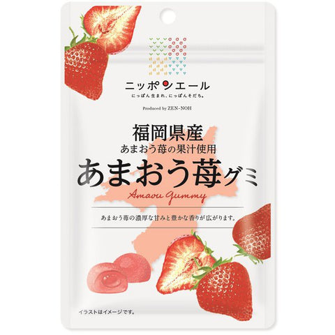Fukuoka Amaou Strawberry Gummi Candy gummy 40g JA Zen-noh