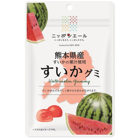 Kumamoto Watermelon Gummi Candy gummy 40g JA Zen-noh