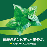 Lotte XYLITOL Gum Long Mint 133g