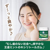 Lotte XYLITOL Gum Long Mint 133g