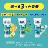 Clear Clean Nexdent Toothpaste Pure mint 120g KAO