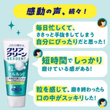 Clear Clean Nexdent Toothpaste Pure mint 120g KAO