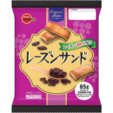 Bourbon Raisin sand soft cookie 85g