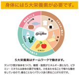 Calorie Mate Block Barre énergétique Saveur Chocolat Otsuka Japan