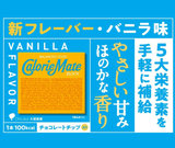 Calorie Mate Block Vanilla Flavor energy bar Otsuka Japan