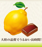 Lotte Candy for throat Quince flavor japanese hard candy 110g