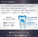 Apagard Royal 135g Sangi Japan Pasta de dientes blanqueadora