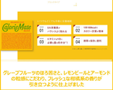 Calorie Mate Block Fruit Flavor energy bar Otsuka Japan